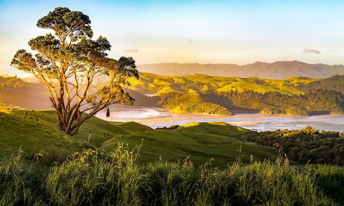 A standalone cottage or holiday home with garden surroundings in a rural New Zealand setting