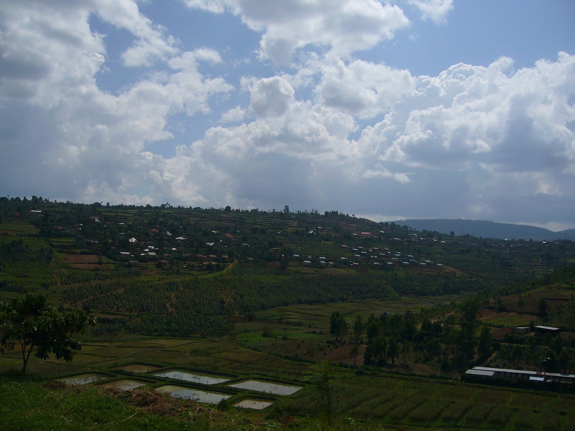 Honeymoon in Cibitoke, Burundi: Tea Hills & Quiet Roads