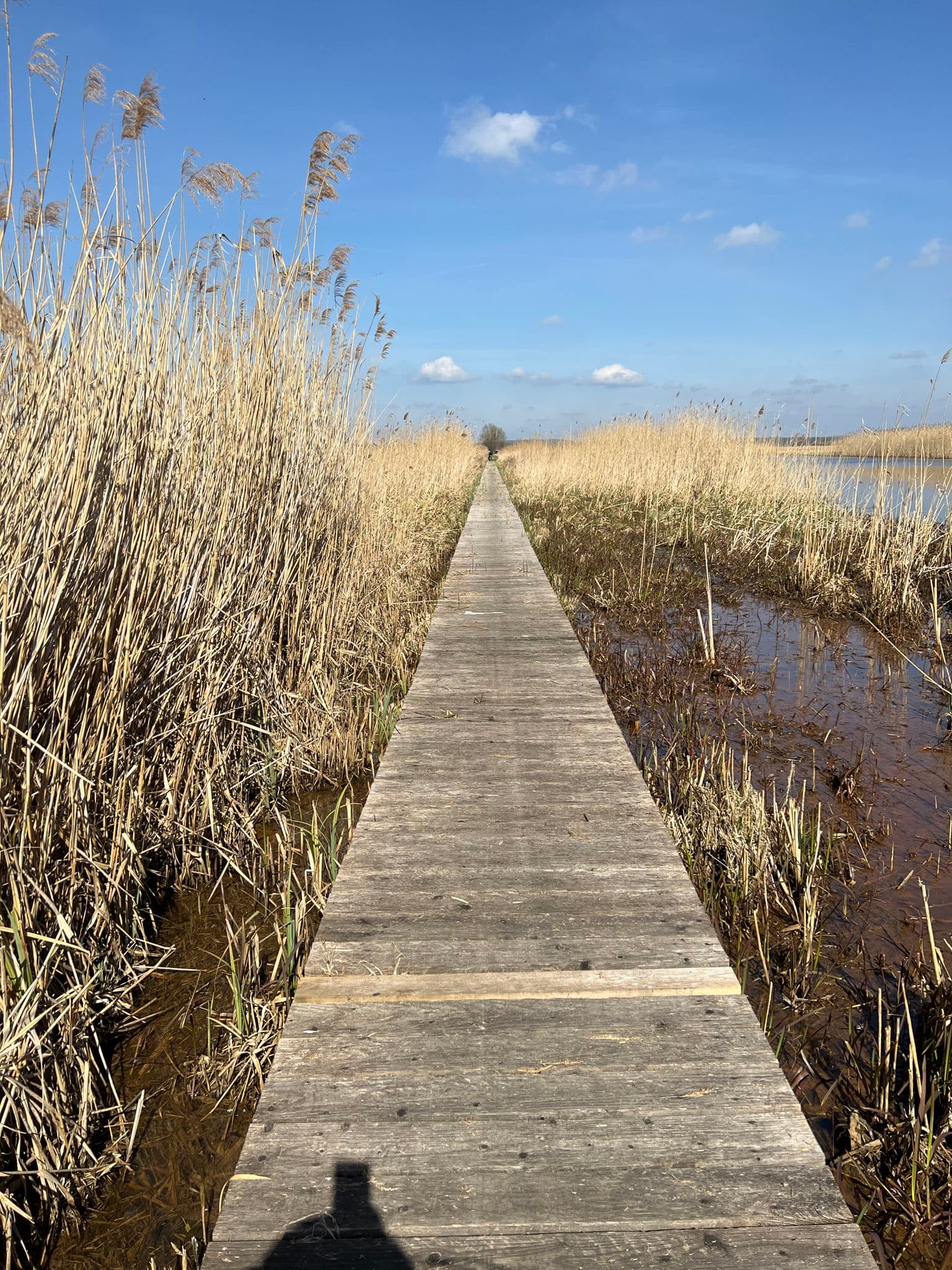 Things to Do in Słońsk, Poland