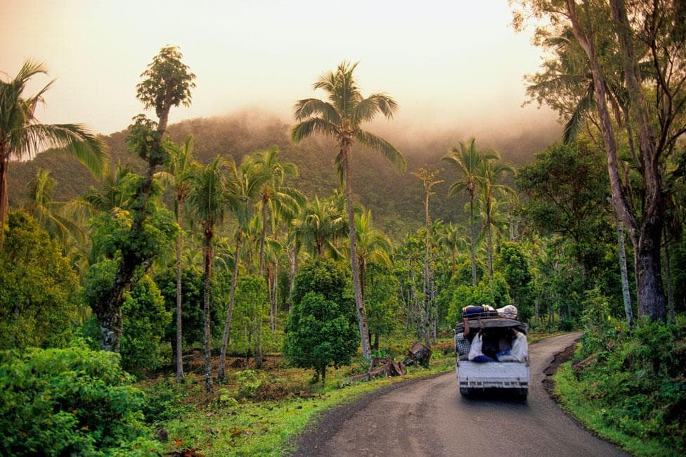 A loaded white vehicle drives along a rural road surrounded by lush palm trees and misty mountains on Mohéli island.