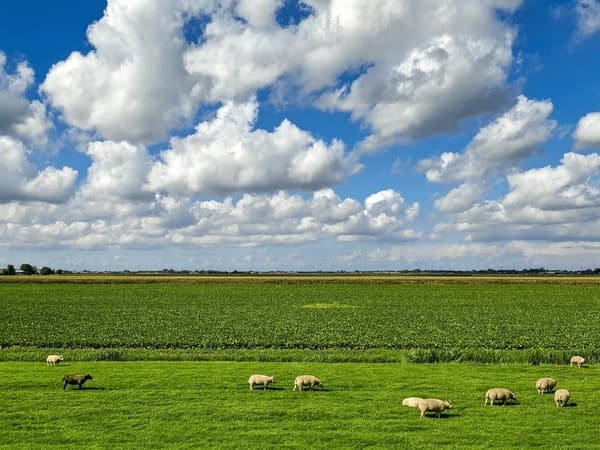 The World is Your Oyster: A Springtime Travel Guide to the