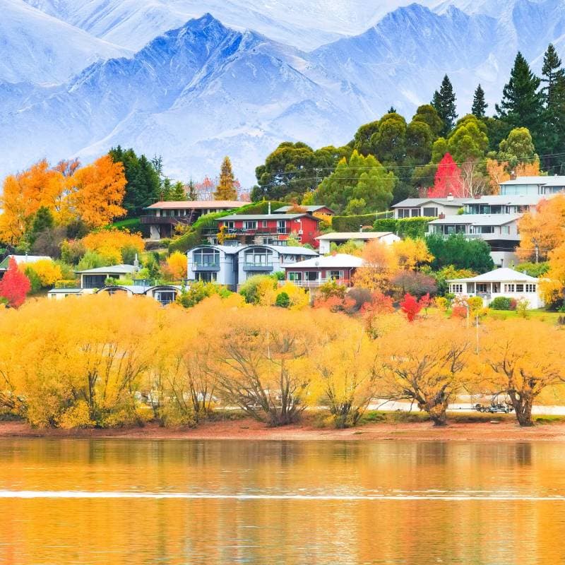New Zealand spring travel autumn landscapes hiking photo