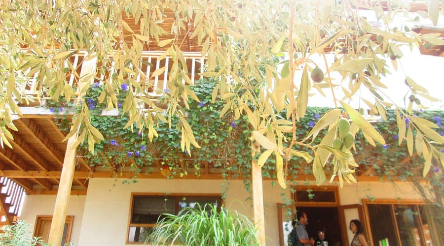 Stone facade of a small guesthouse building in a Northern Israel kibbutz
