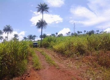 Cooking Classes in Rotifunk, Sierra Leone