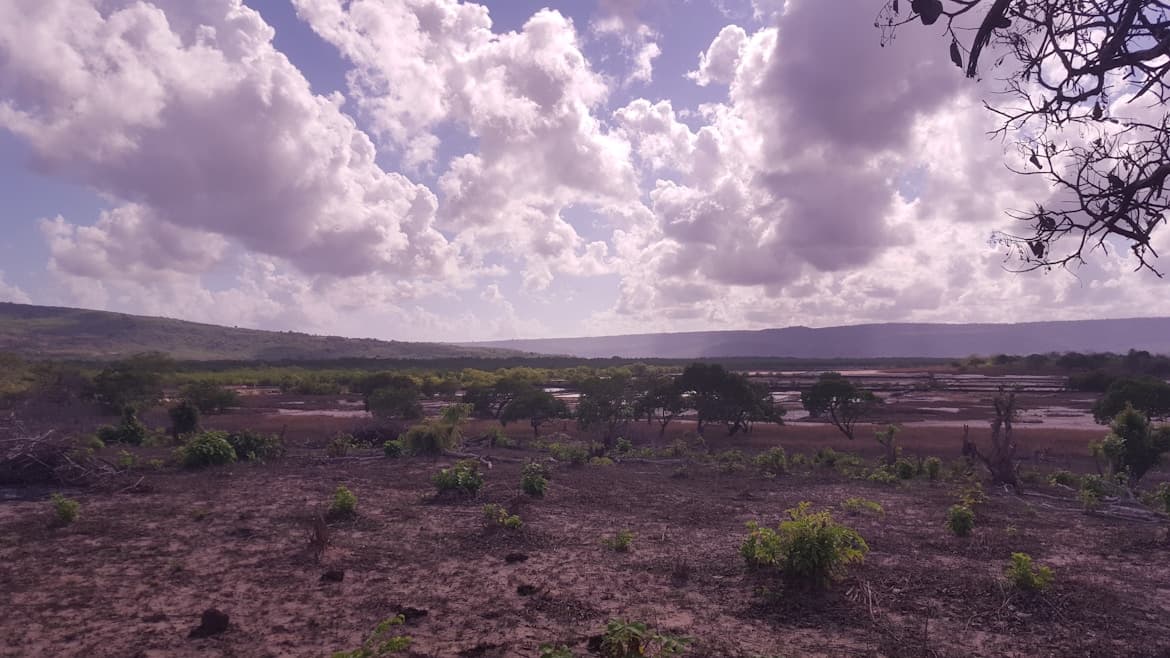 Boutique Hotels in Mingoyo, Tanzania