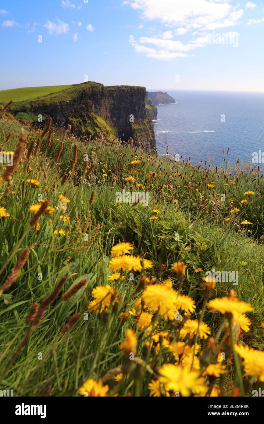 Dunmanway, Ireland: A Summer Travel Guide for Nature Lovers
