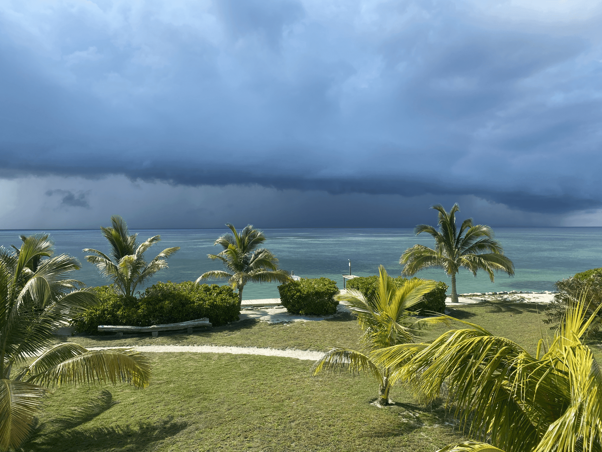 Tropical beach scene with palm trees and green lawn under a dramatic, dark overcast sky with heavy rain clouds looming over the ocean horizon.
