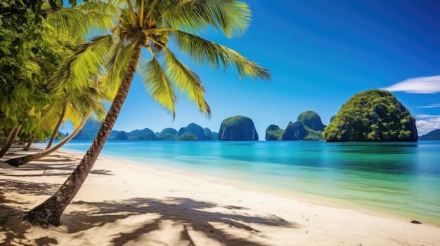 Sandy beach with palm trees and turquoise ocean water in the Philippines