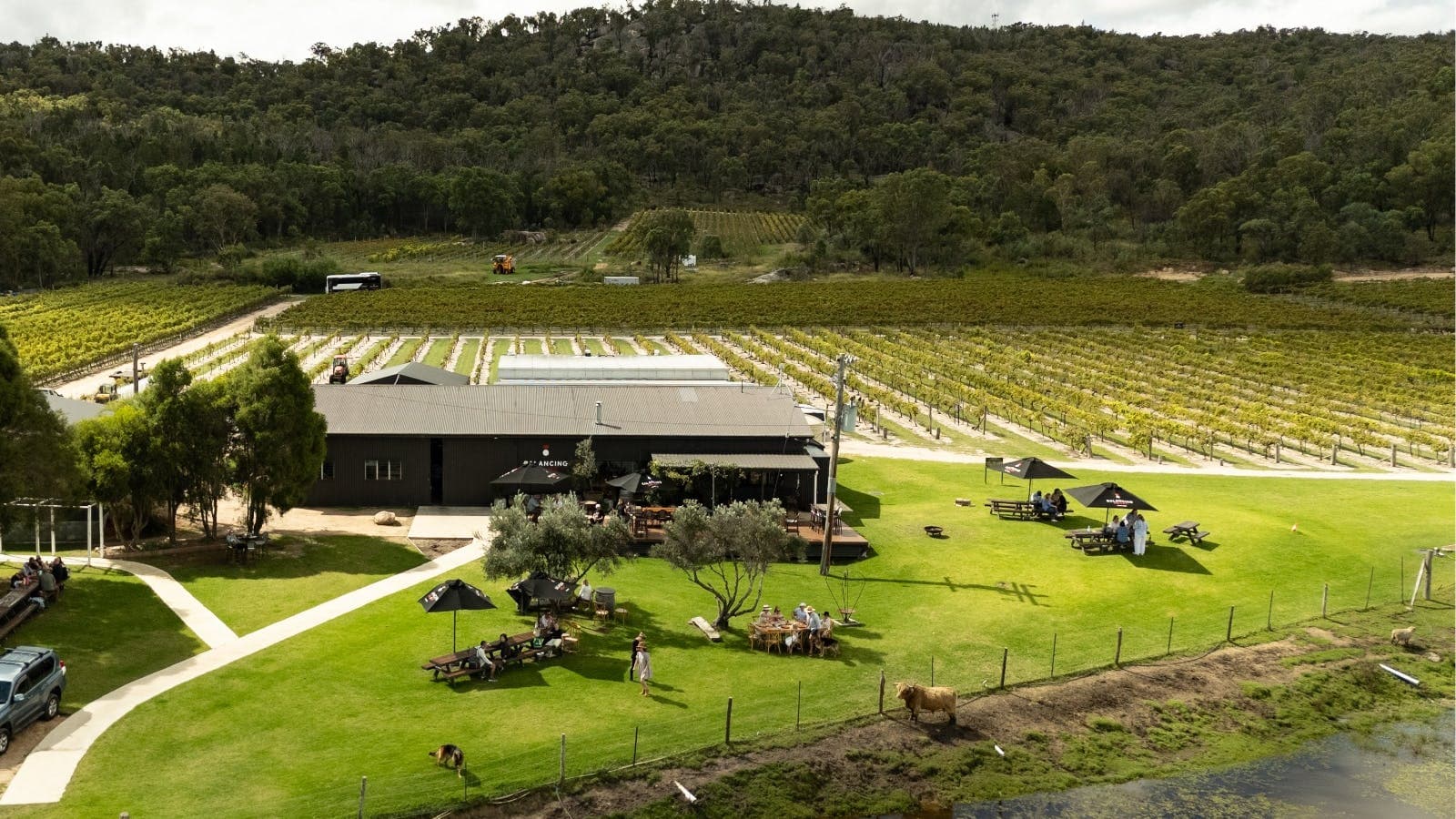 Exterior of a cellar door and vineyard in the Granite Belt wine region, Stanthorpe, Queensland