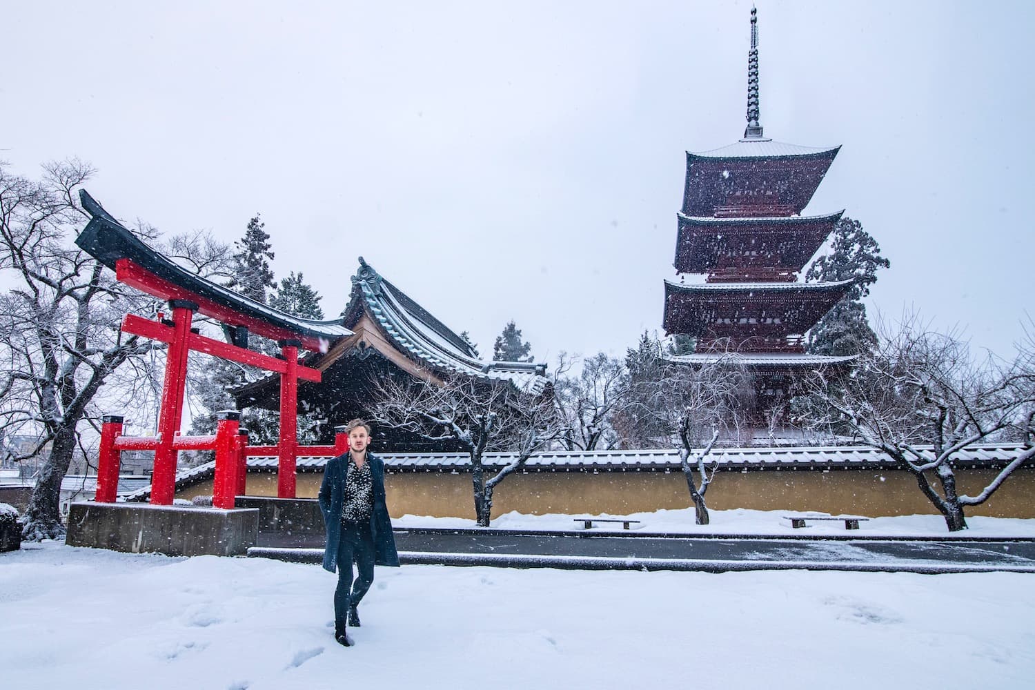 Japan winter travel with snow-covered temples, ski slopes, and hot springs