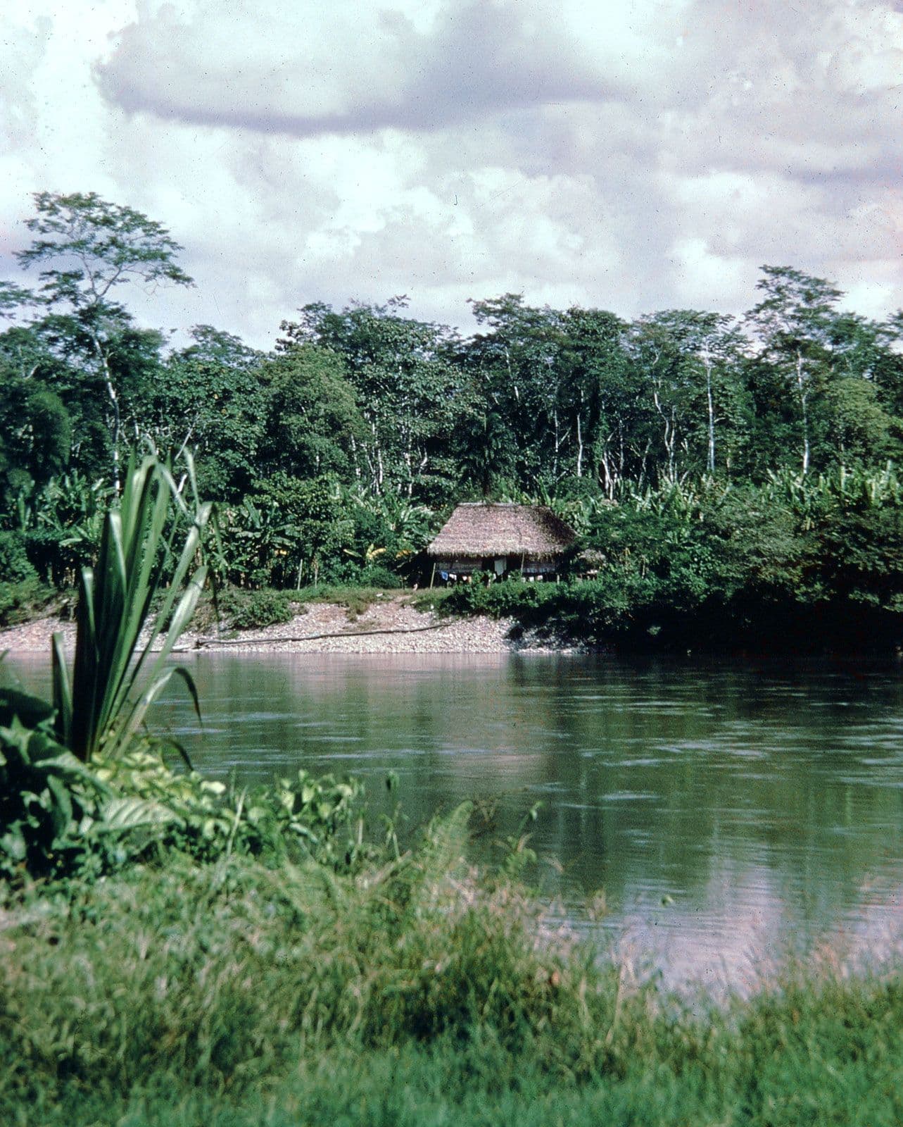 Sustainable Travel in Catarama, Ecuador