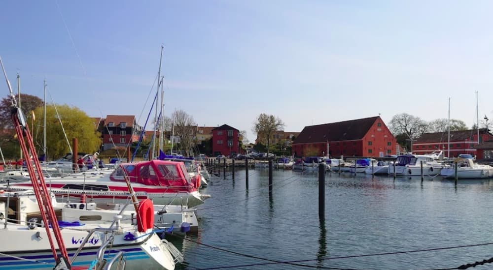 Sailboats docked in a harbor with red buildings and trees in the background under a clear blue sky.