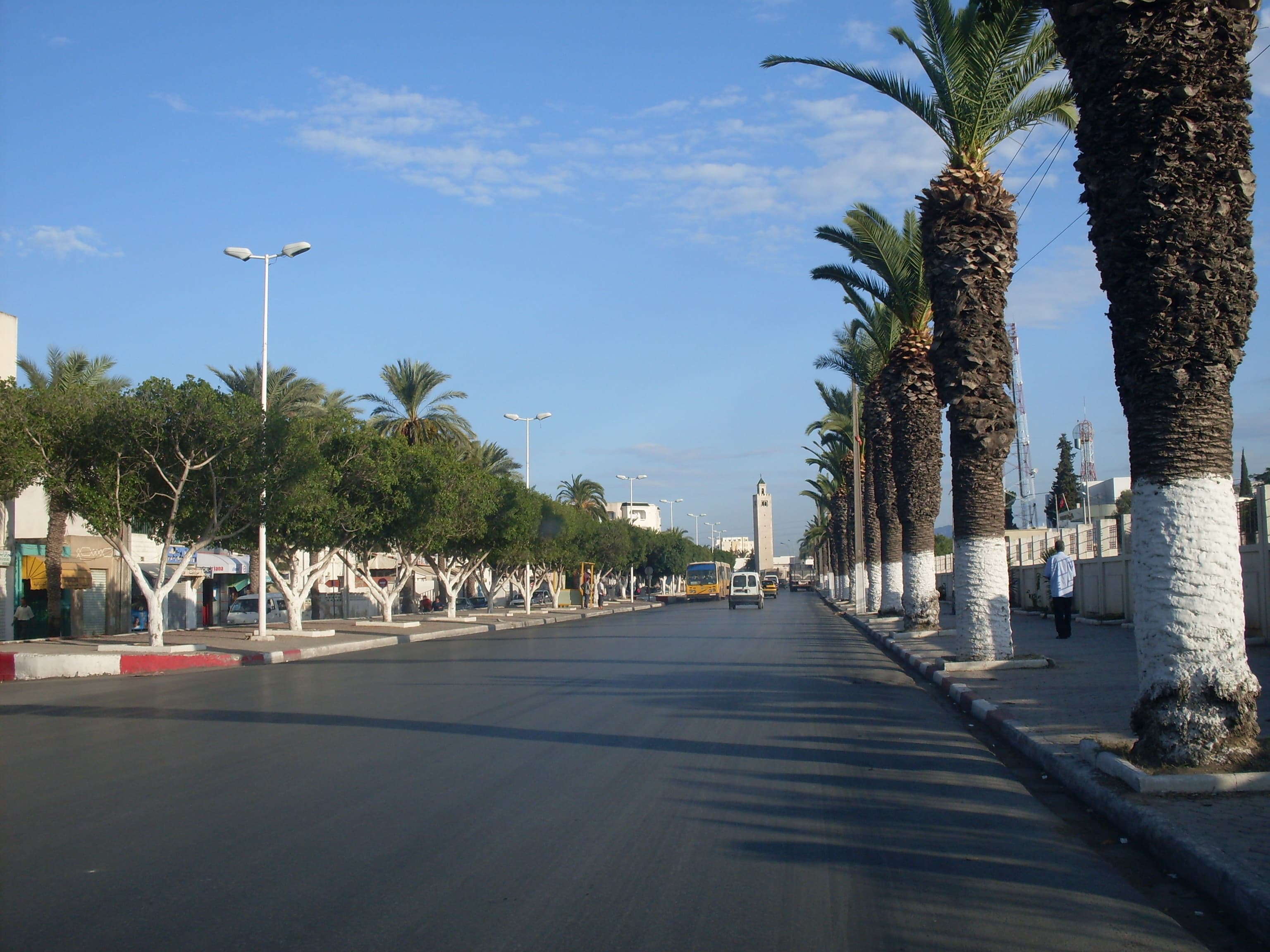 Vegan & Vegetarian Travel in Ben Arous, Tunisia