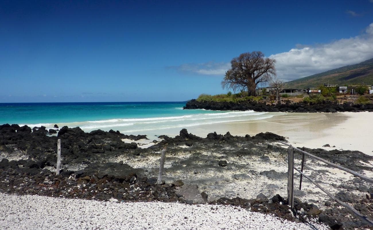 A scenic view of a white sand beach on Mohéli island, featuring turquoise waters, black volcanic rocks, and a solitary tree under a blue sky.