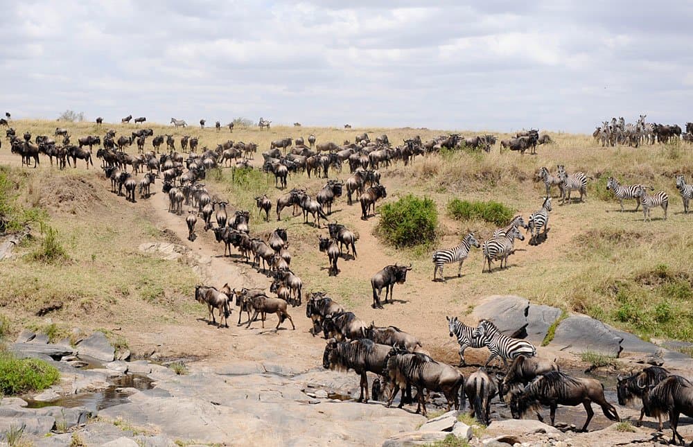 Bondo, Kenya: Where Adventure Meets the Great Outdoors in