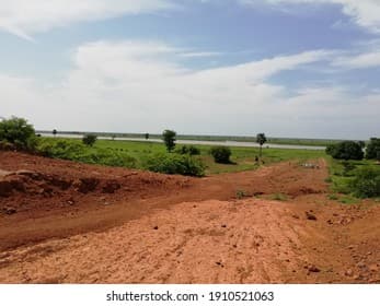 Natural river landscape along the Logone River near Moundou, Chad