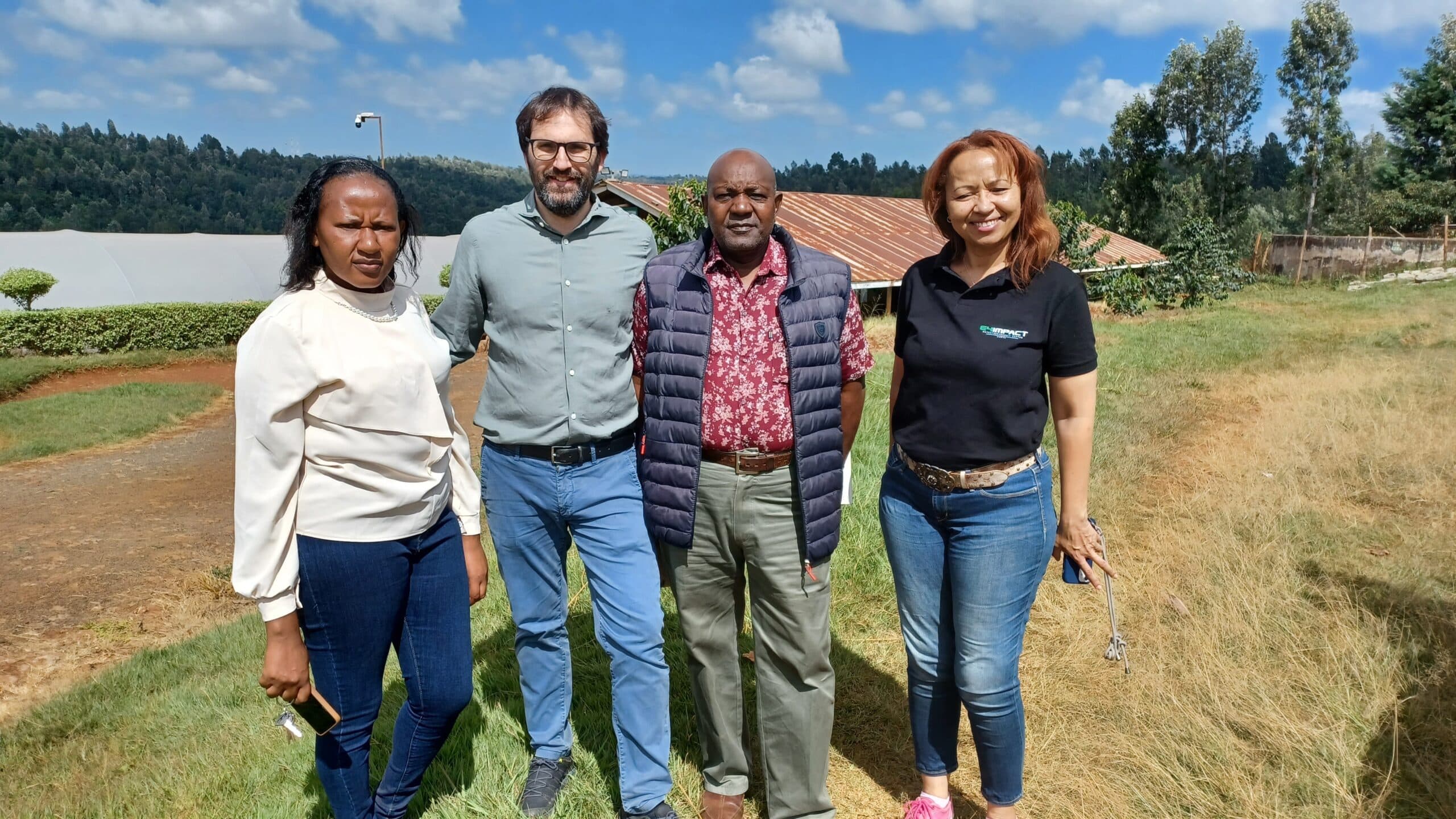Coffee farm with organic cultivation in a rural landscape in Uganda