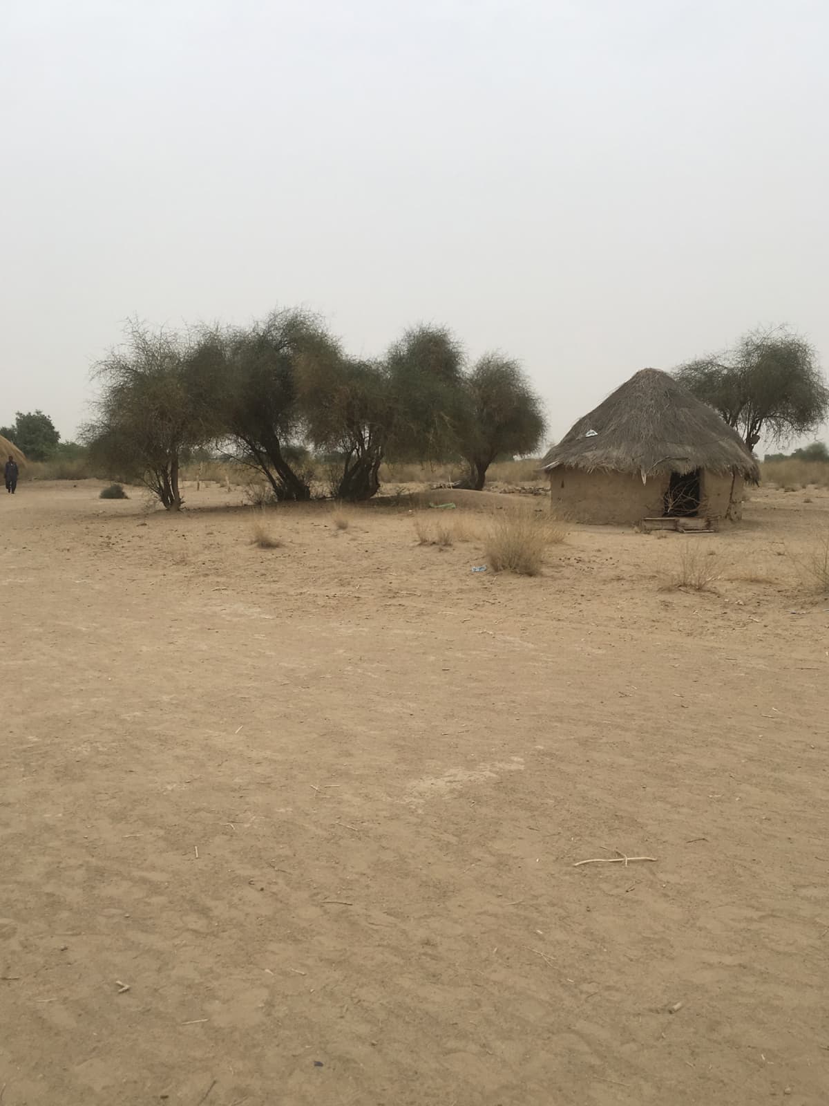 Naushahro Firoz, Pakistan: A Springtime Exploration of