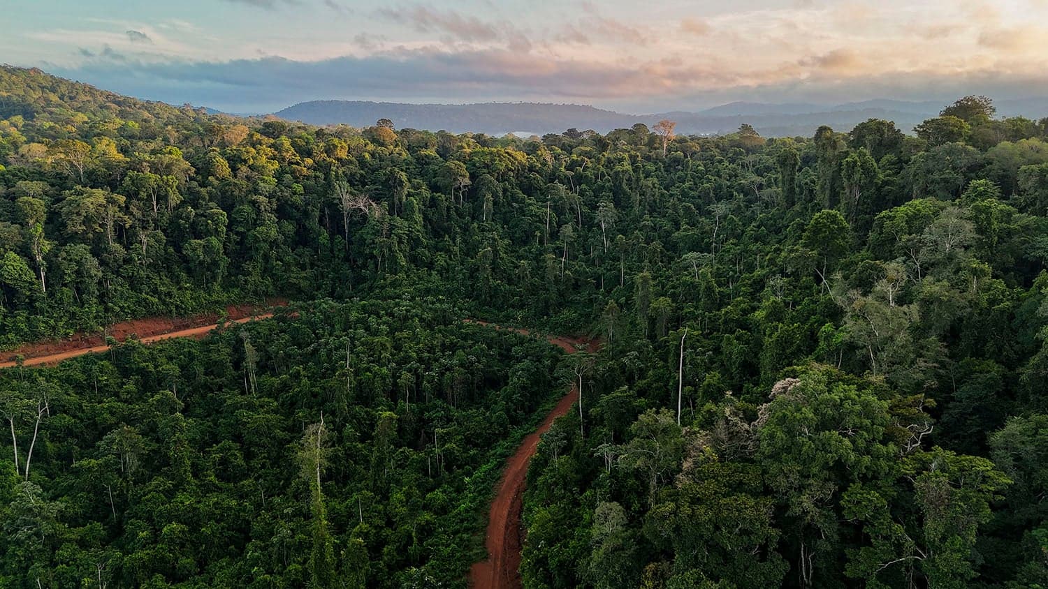 Aerial view of a winding red dirt road cutting through a dense, lush green tropical rainforest with distant mountains under a cloudy sky.