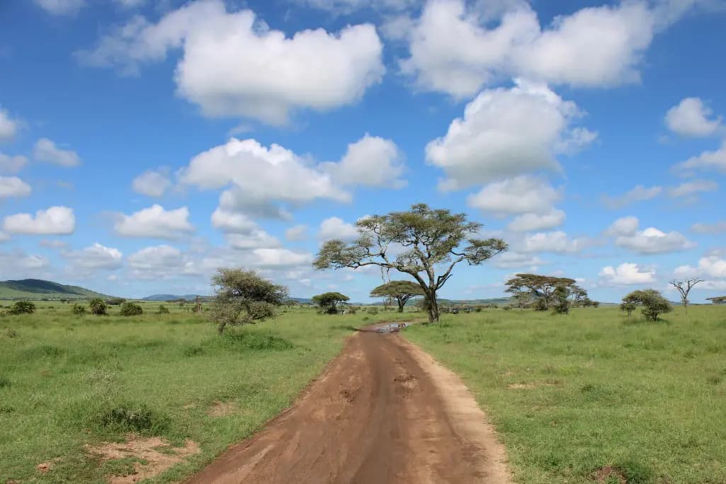 Hiking in Sua, Botswana: The Central District Test