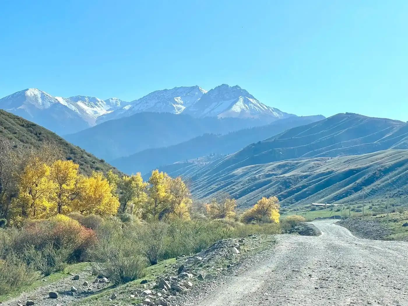 Gravel road winds through open steppe hills with yellow autumn trees, snow-capped mountains in the distance under a clear blue sky.