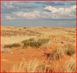 Ramotswa, Botswana: Autumn in the Dry Season