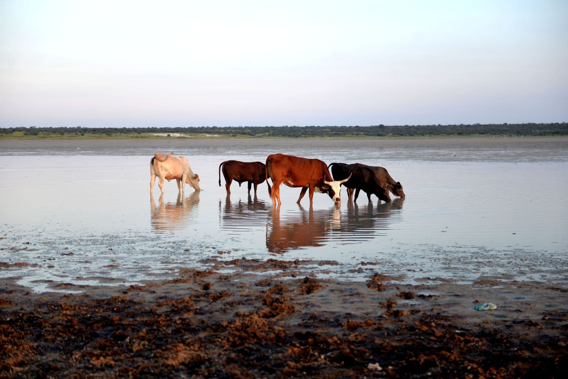 Kang, Botswana: High-Altitude Rest Stops