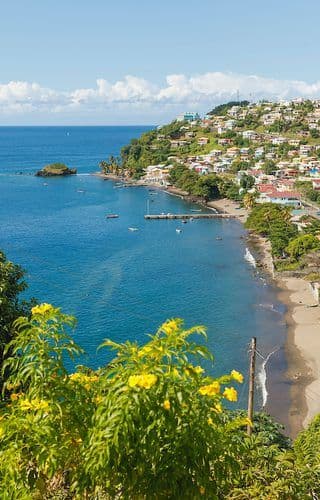 Barrouallie: The Caribbean Wine Reality Check