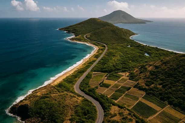 Aerial view of a paved road winding along a lush green coastline with terraced vineyards and a distant volcanic peak.