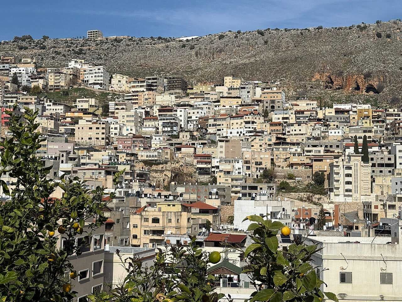 Wide hillside view of a dense residential settlement with modern and traditional buildings, rocky terrain, and foreground citrus branches in the Beit Hakerem Va