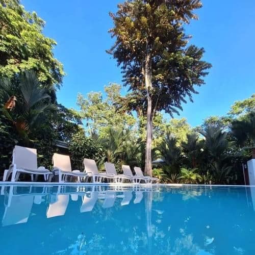 A swimming pool with white lounge chairs is surrounded by dense tropical greenery and a tall tree under a clear blue sky.