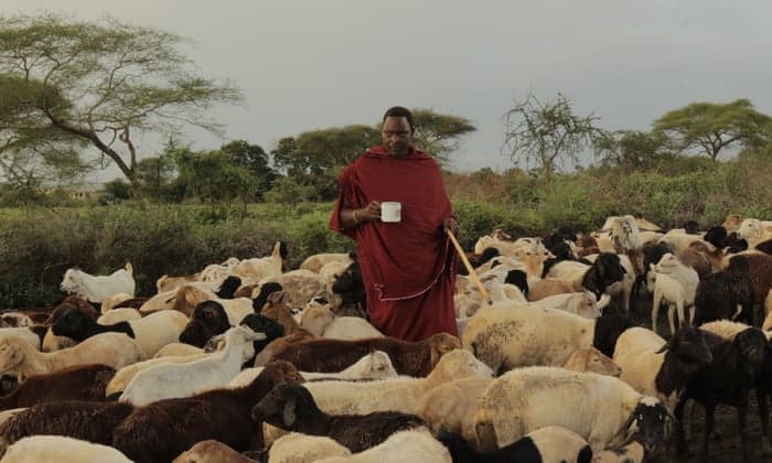 Maasai individuals in traditional clothing in a rural landscape, illustrating cultural community in Tanzania