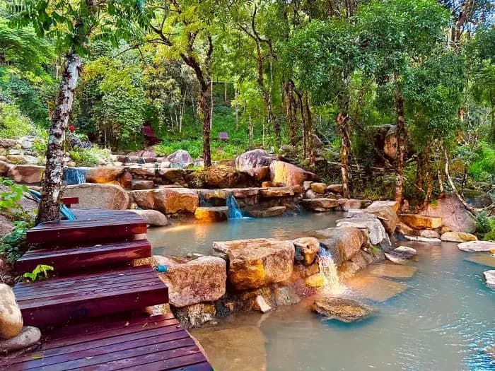 Dense green forest canopy and shaded path near Daana hot spring sanctuary in Vietnam