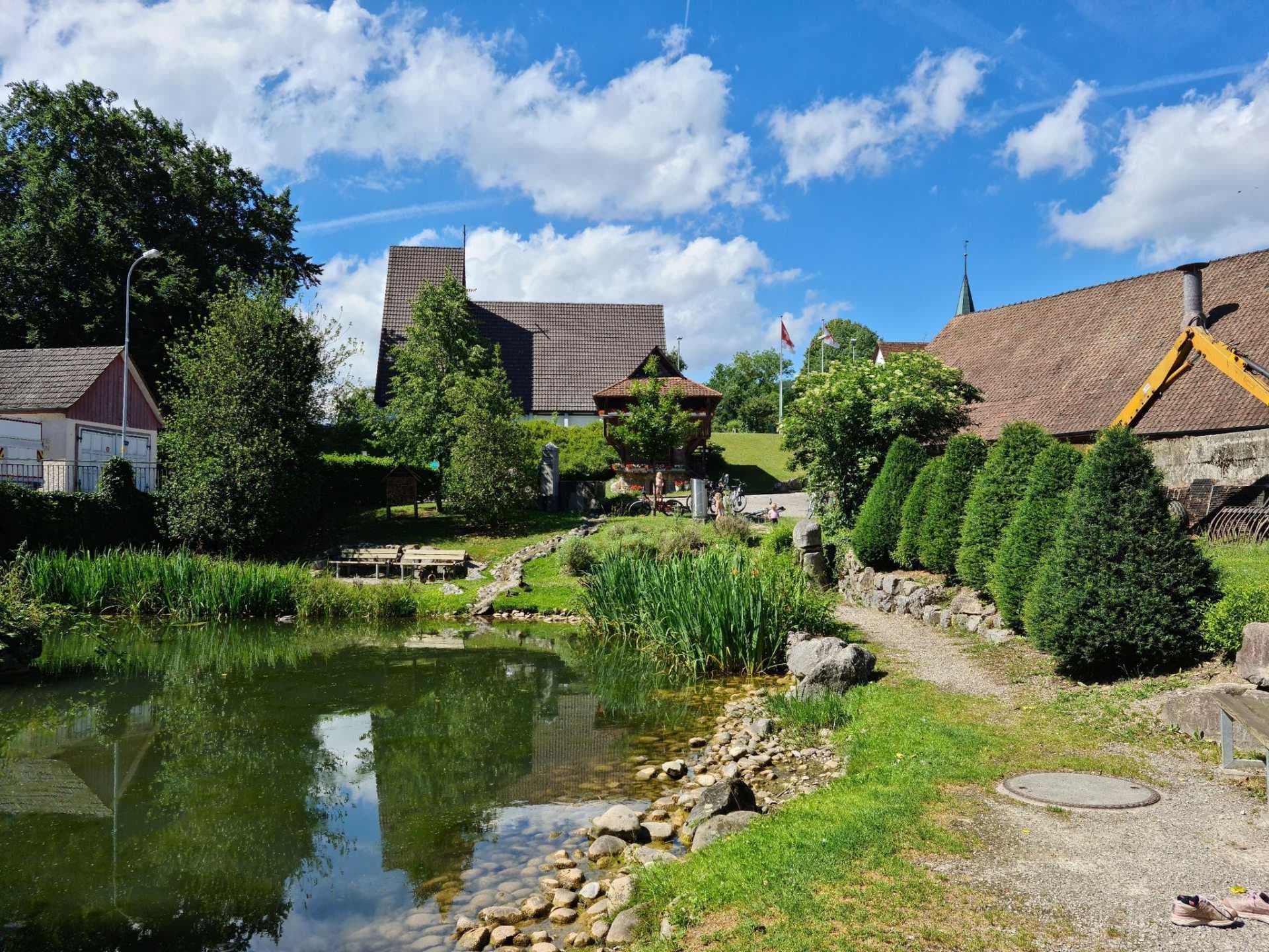 Wolfwil Autumn: Cycling the Aare Loop