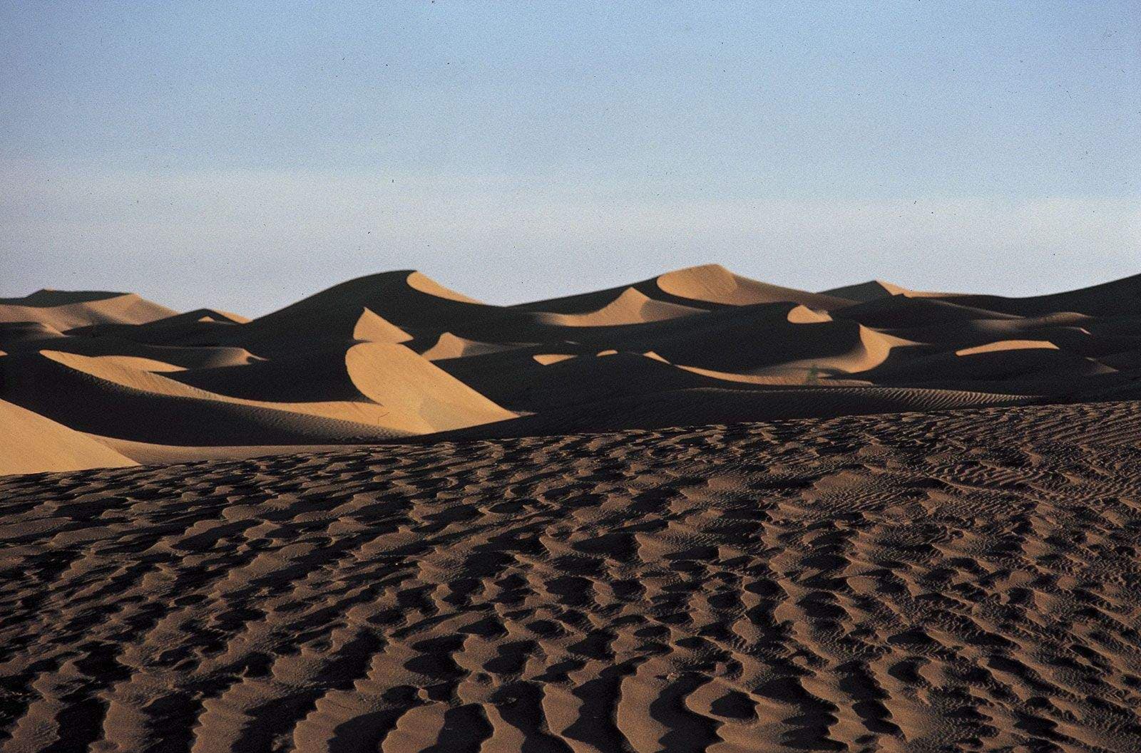 Wide desert landscape with rippled sand foreground and large dunes under a clear blue sky.