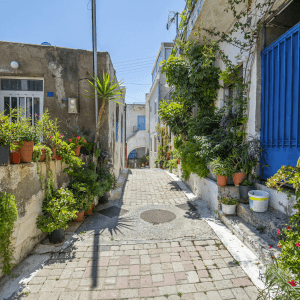 A narrow, sunlit stone-paved alleyway in the old town of Áfytos, lined with whitewashed buildings, potted plants, and a blue door.
