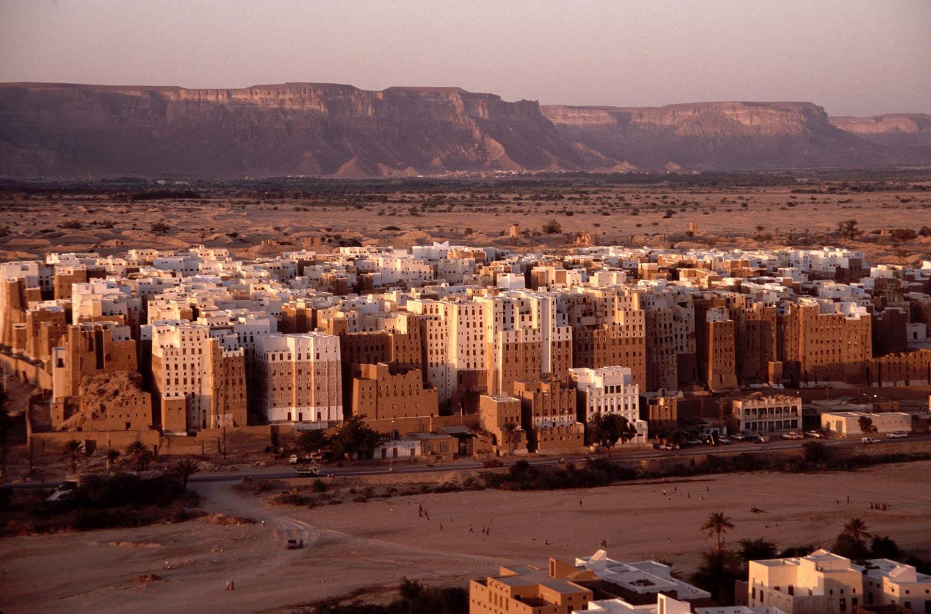 Asian Street Food in As Sawm, Yemen