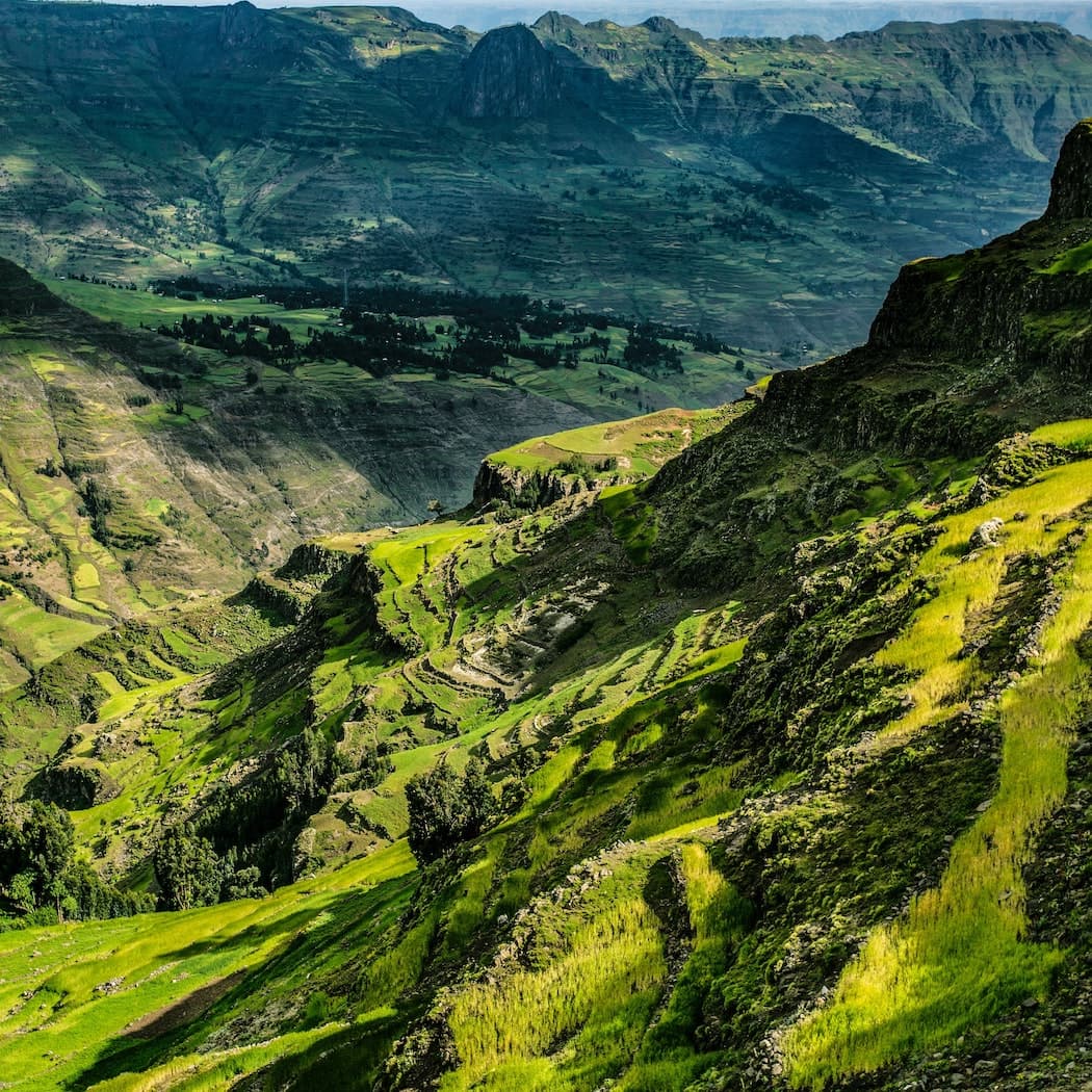 Gewanē, Ethiopia: A Springtime Coffee Culture Immersion