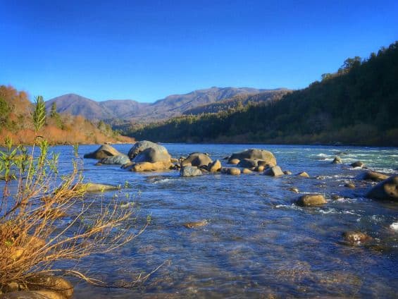 Solo Travel in La Unión, Chile: A Low-Key Valley Break
