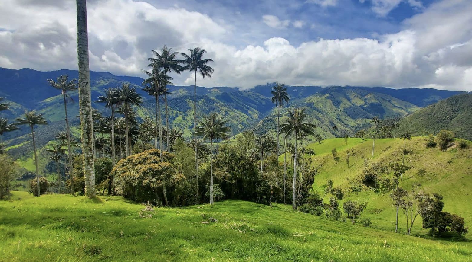 Valley of Peace, Belize: The Honeymoon Audit