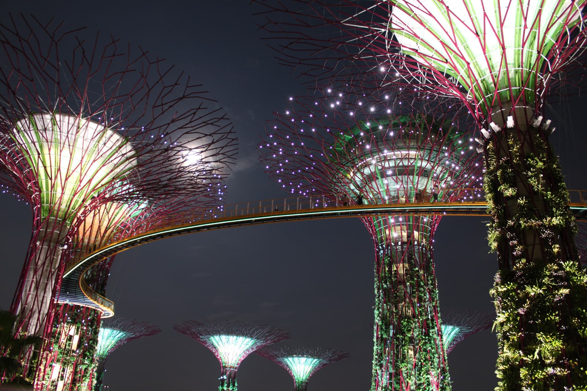 Nighttime view of the Supertree Grove at Gardens by the Bay, Singapore, with colorful lighting and futuristic structures