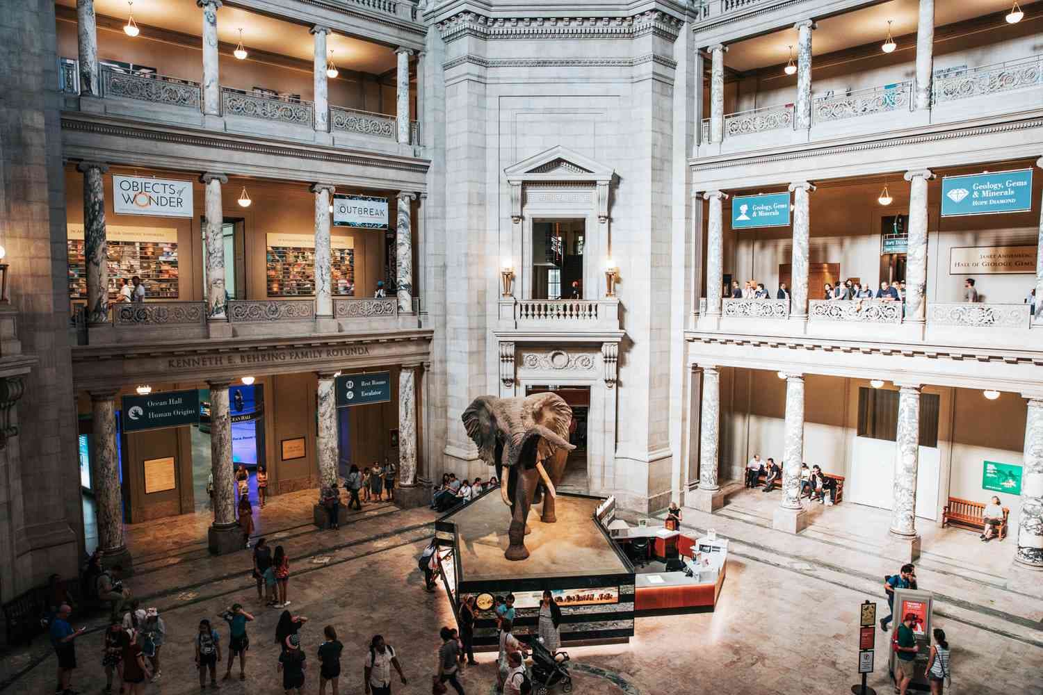 National Museum of Natural History Washington D.C. exterior and interior spring photo
