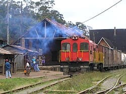 Travel Insurance Tips for Ampasimanolotra, Madagascar