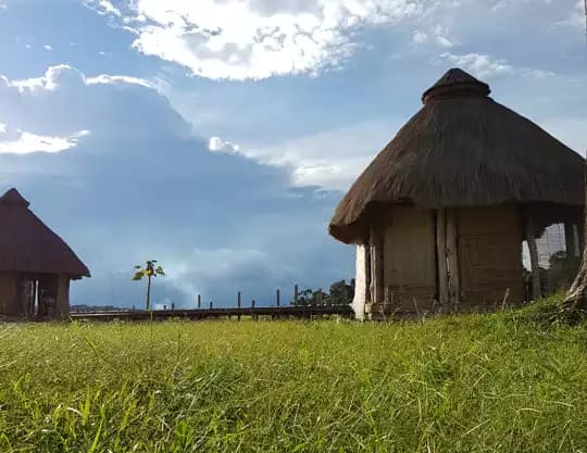 Rural village scene in Tougué Prefecture, Guinea, with traditional huts and local buildings