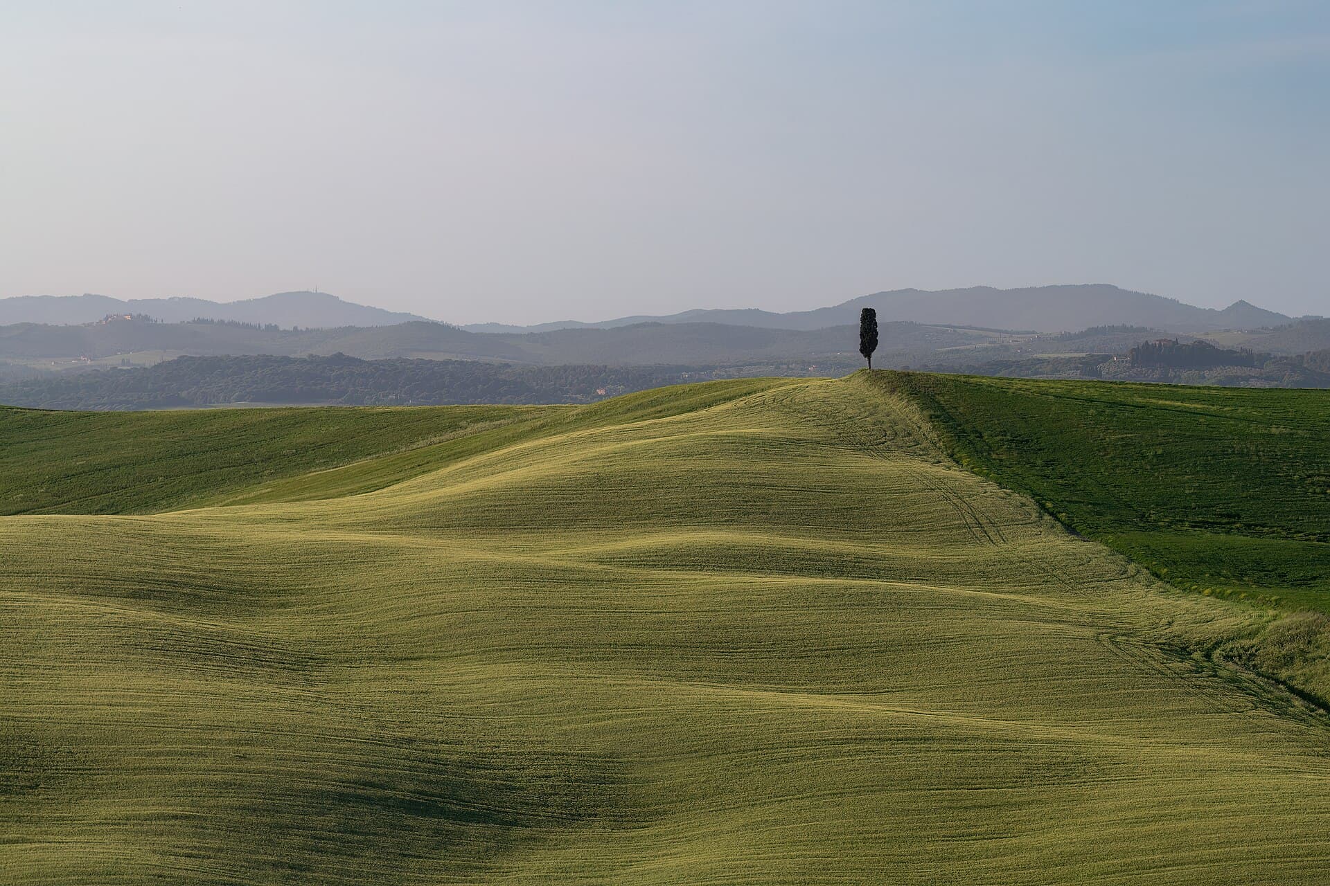 Ribolla — travel photo