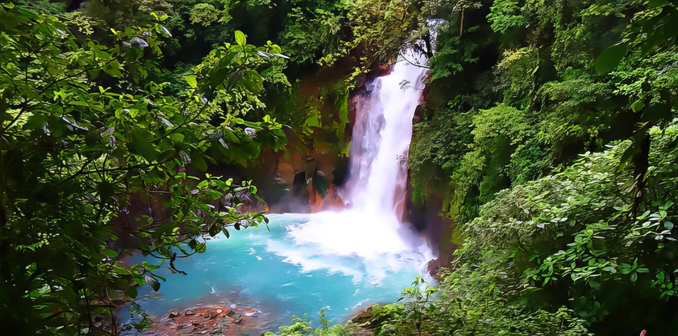 Yoga in Talamanca: Rain, Roots & Rest
