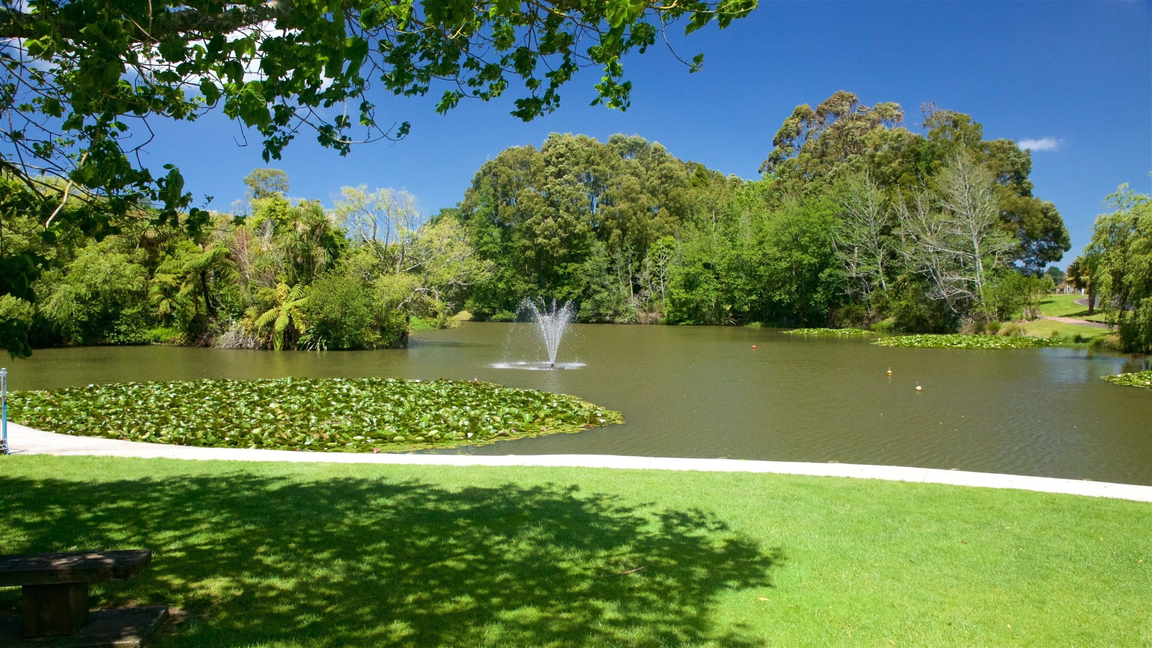 A calm river flowing through dense native bush and green hills in the Waikato hinterland, New Zealand