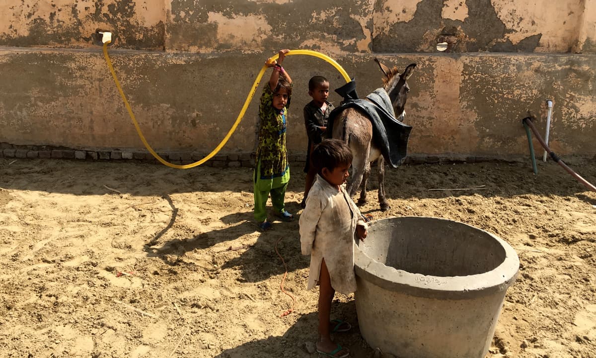 Traditional mud-brick houses and courtyards in a rural village near Naushahro Firoz, Sindh, Pakistan