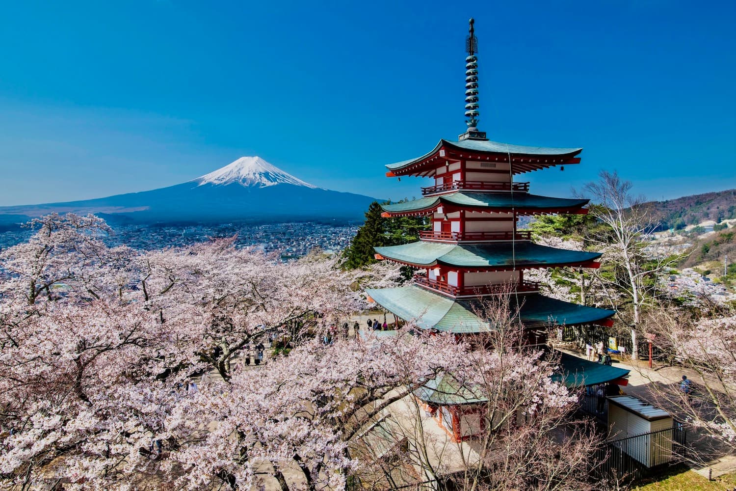 Your Springtime Wanderlust: 5 Holiday Suggestions for 2026
