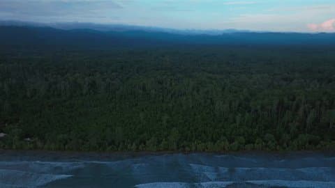 Vanimo Green, PNG: The Perfect Winter Coastal Escape